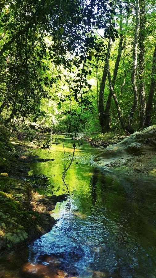 Hunting Residence Asteya Gramatikovo Dış mekan fotoğraf