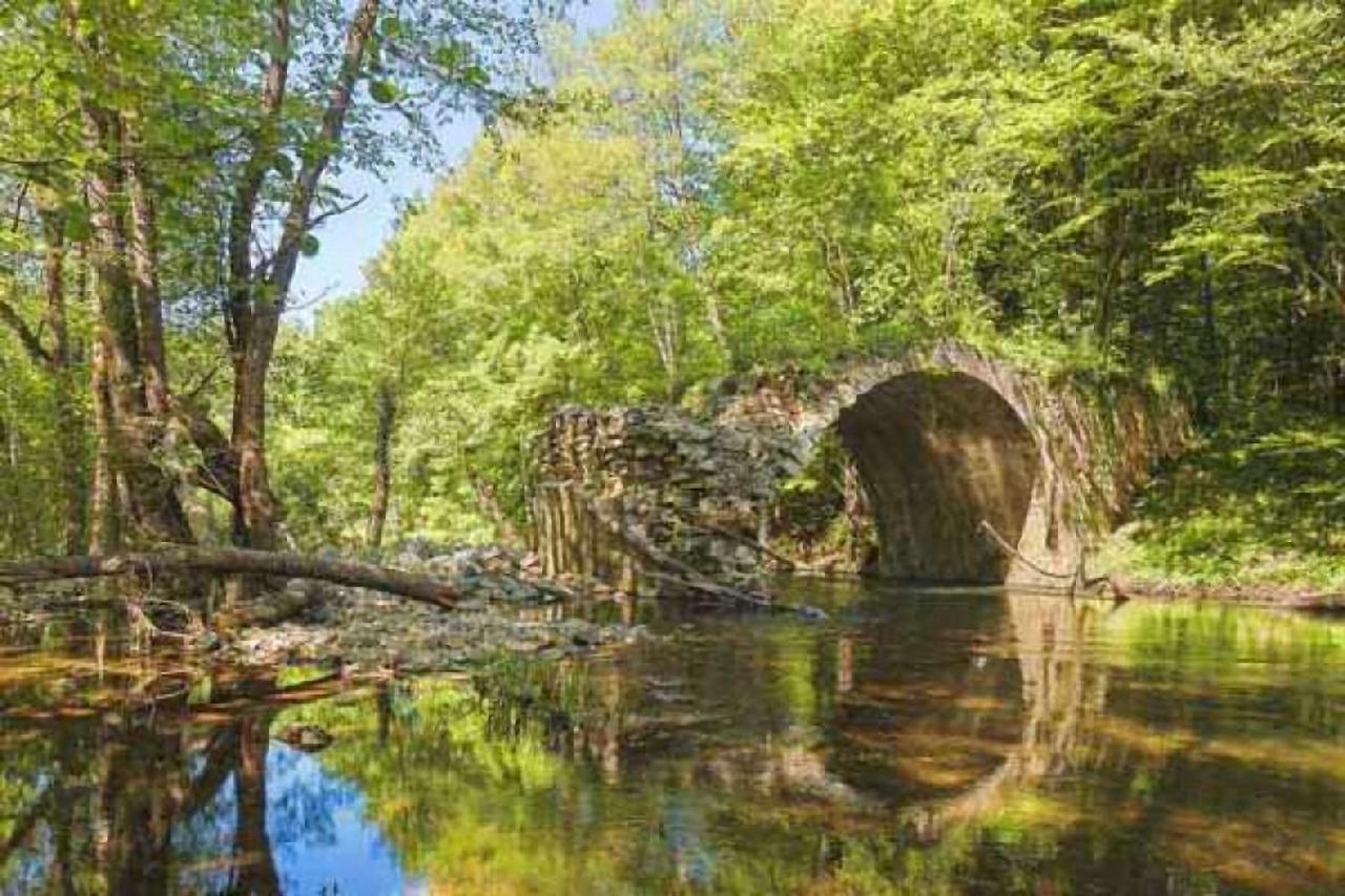 Hunting Residence Asteya Gramatikovo Dış mekan fotoğraf